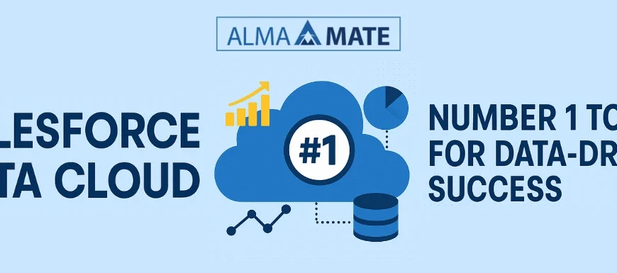 Salesforce Data Cloud- Development Services offered by AlmaMate Info Tech